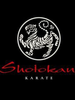 O Que é o Karatê Shotokan?