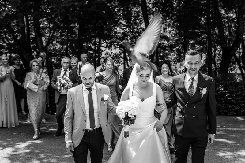 O selecție de imagini care surprind emoția, naturalețea și eleganța fiecărei nunți.