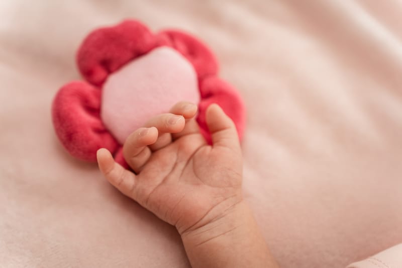 Fragilitate, emoție și amintiri pentru o viață întreagă.