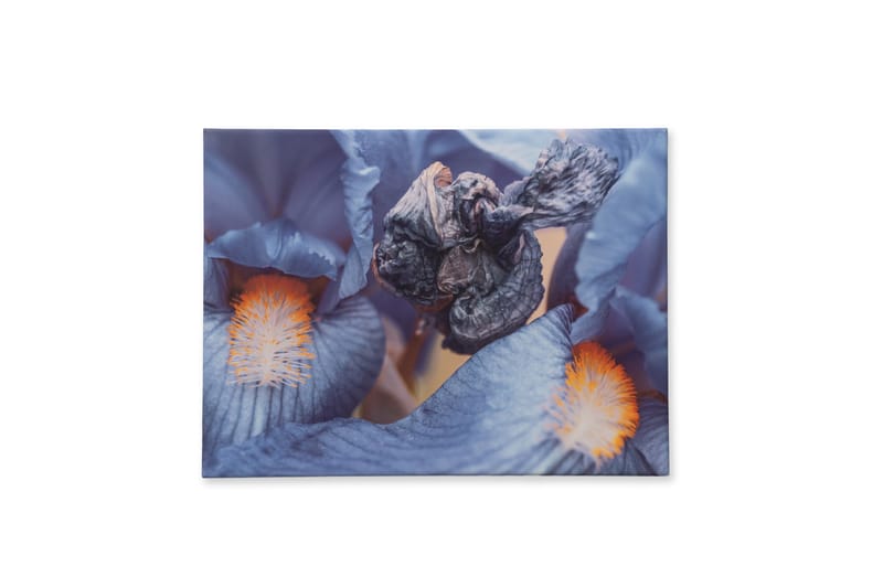 Arta noastră ajunge la tine acasa! Tablouri pe canvas create din fotografiile noastre originale.