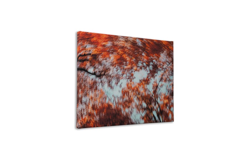 Arta noastră ajunge la tine acasa! Tablouri pe canvas create din fotografiile noastre originale.