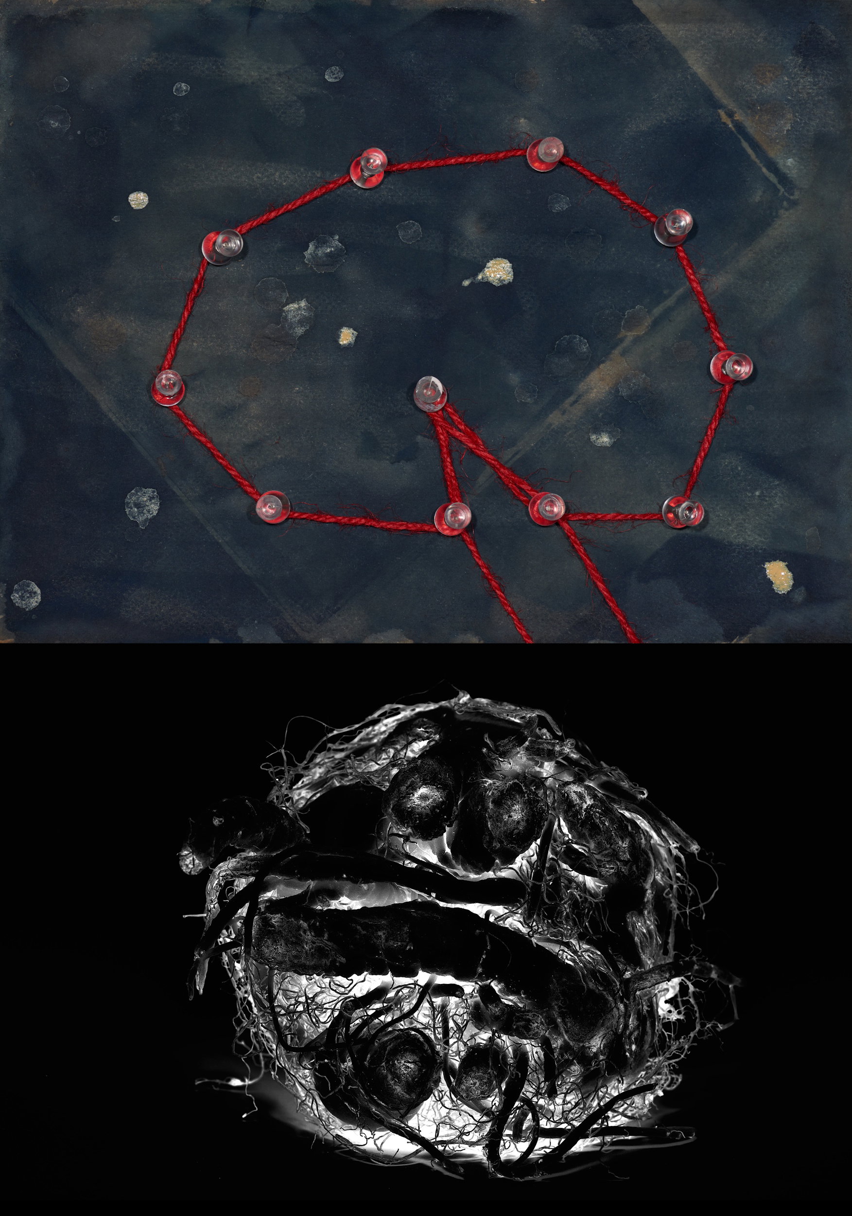 The chaos in my mind became art
