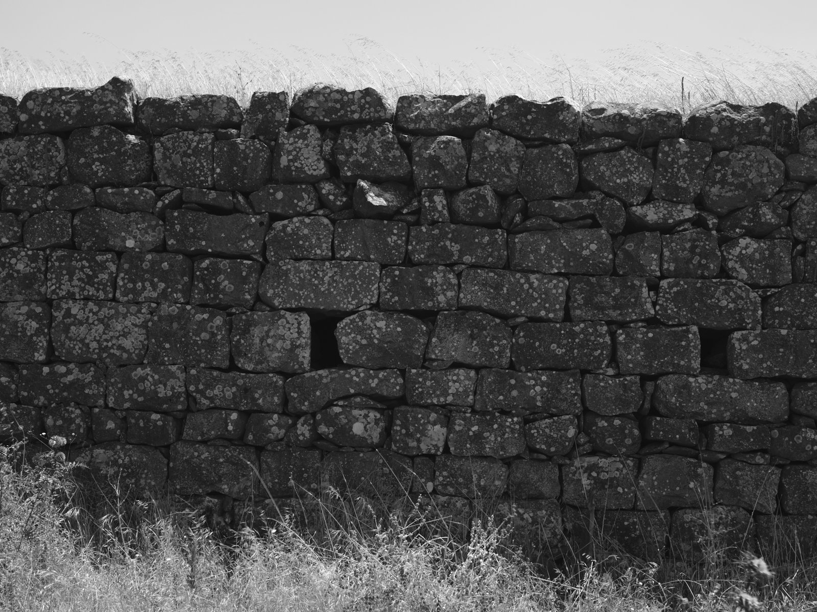 Drain stones