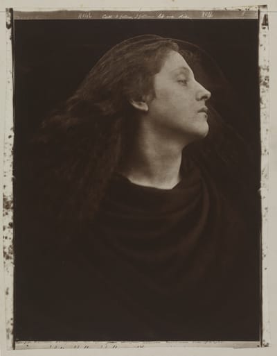 הצלמת Julia Margaret Cameron