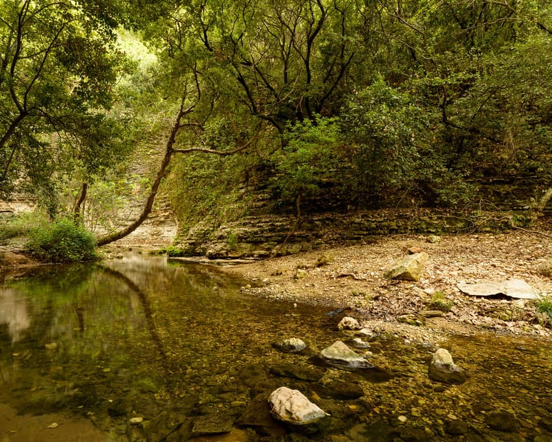 סדנת צילום בגליל העליון