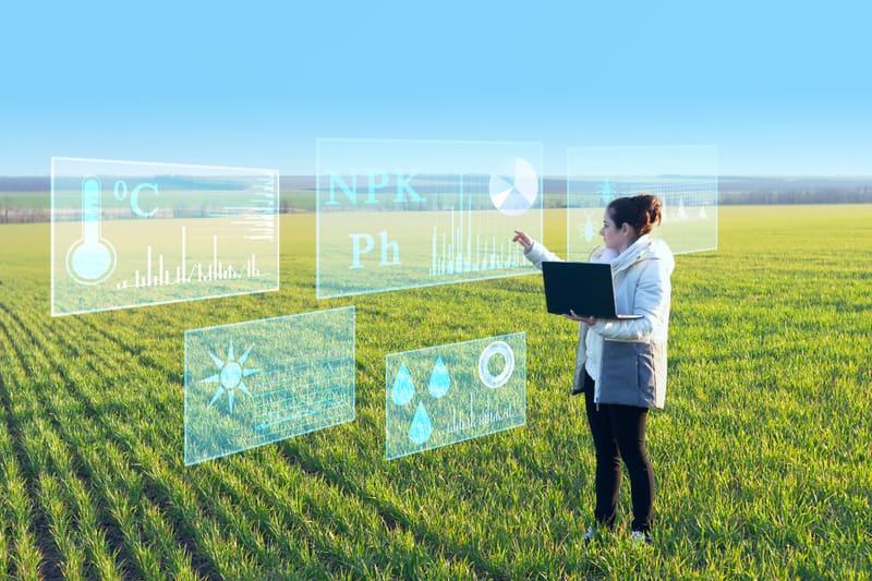 Comprendre le numérique au service de la transition écologique