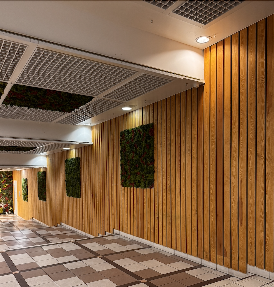 مركز ستاكين