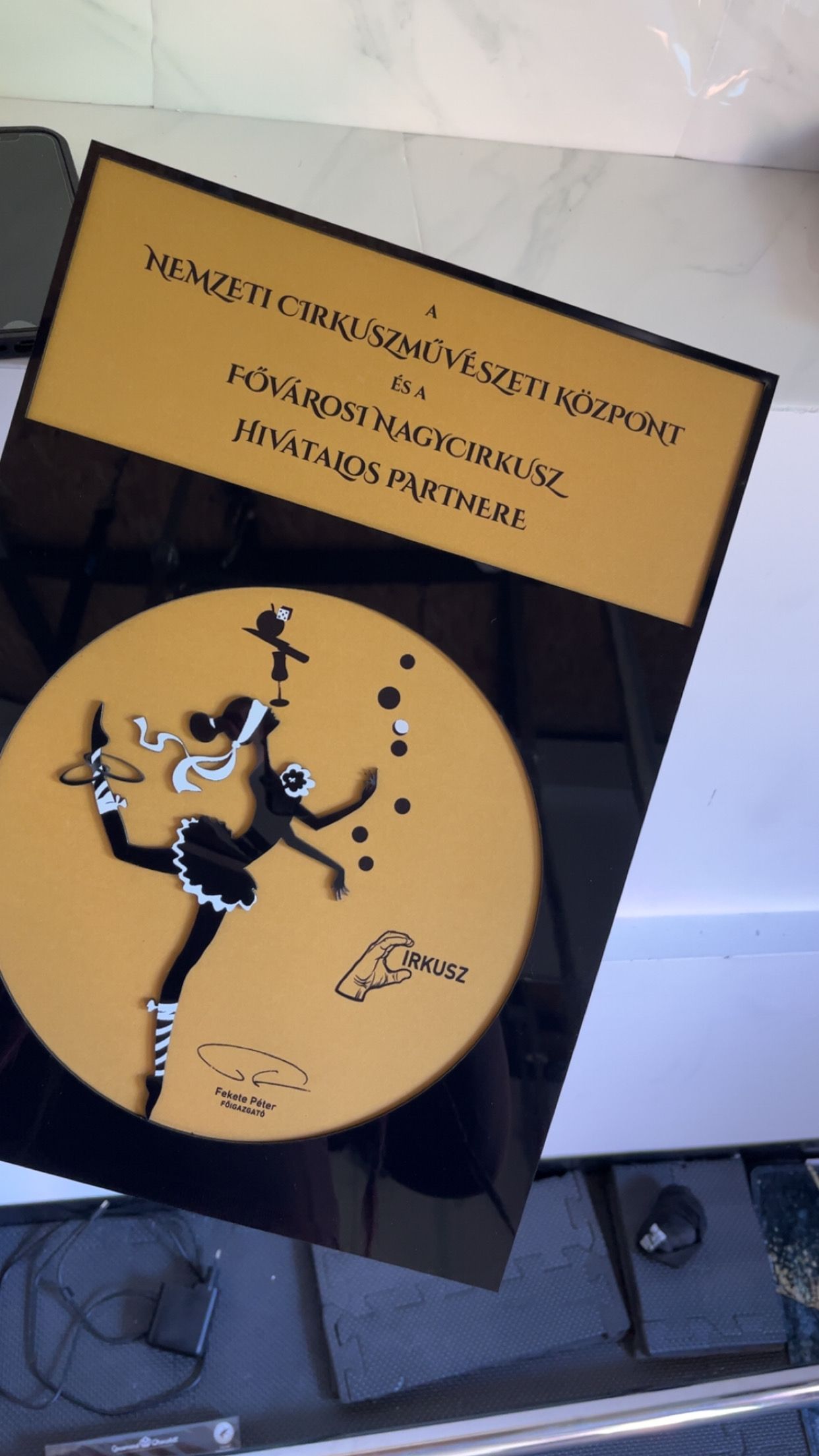 A Nemzeti Cirkuszművészeti központ és a Fővárosi Nagycirkusz hivatalos partnere