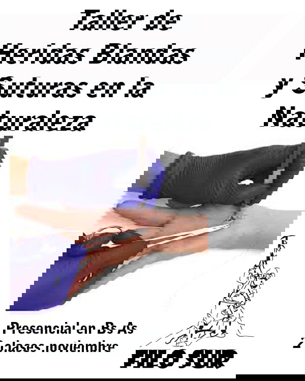 CURSO DE SUTURA EN LA NATURALEZA