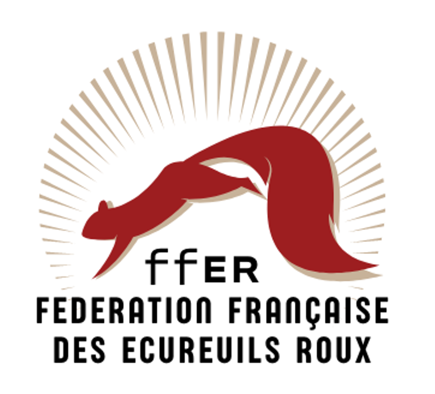 La FFER (Fédération Française Ecureuils Roux), innover pour sauver les écureuils.