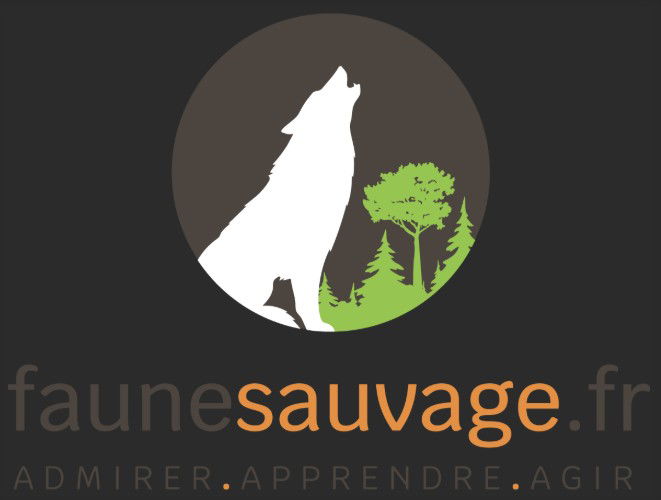 le site Faunesauvage.fr