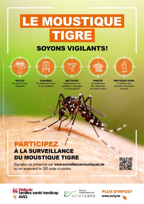 Abreuvoirs et moustique tigre