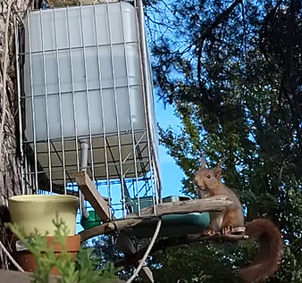 L'eau ... indispensable toute l'année