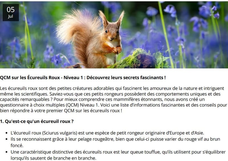 QCM sur les écureuils roux - niveau 1 pour les bénévoles
