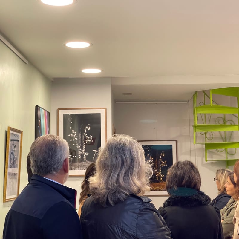 “Reflections” photography exhibition by Mafalda Henriques