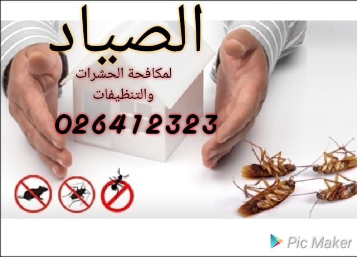 شركة مكافحة حشرات في الفلاح