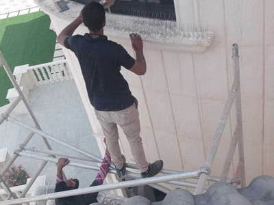 شركة الصياد لخدمات مكافحة الحمام تركيب اشواك طاردة للحمام وجل طارد الحمام ورش مبيدات عن الطيور الحمام و الحشرات الضارة وتعد هذه   أحسن شركة مختصة في مجال رش الحشرات في عموم الامارات  كلها، نقوم بالقضاء على مختلف انواع الحشرات المنزلية(الصراصير , النمل الابيض , بق الفراش , الذباب,) و كذلك حشرات الحدائق، بالإضافة الى التخلص من القوارض و الفئران بكل أنواعها، نقوم باستخدام أجود الماركات من مبيدات الحشرات و أقواها و أكثرها فاعلية و المرخصة محليا” من وزارة الصحة، يمكنكم الاعتماد علينا في القضاء على الحشرات