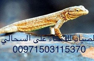 شركة الصياد لمكافحة الحشرات والتنظيفات 026412323 يعد تنظيف المنازل شيء ضروري التي تستخدمها شركات تنظيف المنازل في ابوظبي والإمارات بشكل عام فائقة الجودة، وتقدم هذه الشركات مجموعة خدمات مميزة وشاملة باحترافية عالية، مثل خدمات التعقيم الخارجية والداخلية، بالإضافة إلى تنظيف خزانات المياه ابوظبي والعديد من الأمور الأخرى التي لا تخطر ببالك. للباحثين عن شركة تنظيف في ابوظبي بمستوى احترافي مميز، سنسلط الضوء في هذا المقال على أفضل شركات تنظيف منازل ابوظبي وأكثرها شهرة.