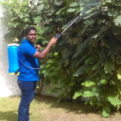 شارع الاسواق - مدينة خليفة - حوض 32 ابوظبي