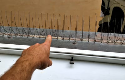 شركة طرد الحمام في بدع زايد                                                            شركة مكافحة الحمام في ابوظبي توفر شركتنا فريق عمل متخصص في تنظيف أسطح المساكن والعديد من المنشآت من آثار الطيوربقايا لمنع وجود الحشرات والقوارض .تهتم أيضا بتوفير خدمة تنظيف المناور والحدائق المحيطة بالمساكن وغيرها من المباني .توفير الأسياخ,( المعدنية,) والتي يتم تركيبها في أطراف أسطح المساكن لطرد الطيور ومنع تواجدها ..للتأكد من سلامتها وأنها خالية من الأمراض والأوبئة لحماية العميل .(,طرد الحمام عن الدرايش,)طرد الحمام عن البلاكين,)طردالحمام عن الاصطح,)طرد الحمام عن الغرميد