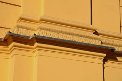 شركة طرد الحمام في بدع زايد                                                            شركة مكافحة الحمام في ابوظبي توفر شركتنا فريق عمل متخصص في تنظيف أسطح المساكن والعديد من المنشآت من آثار الطيوربقايا لمنع وجود الحشرات والقوارض .تهتم أيضا بتوفير خدمة تنظيف المناور والحدائق المحيطة بالمساكن وغيرها من المباني .توفير الأسياخ,( المعدنية,) والتي يتم تركيبها في أطراف أسطح المساكن لطرد الطيور ومنع تواجدها ..للتأكد من سلامتها وأنها خالية من الأمراض والأوبئة لحماية العميل .(,طرد الحمام عن الدرايش,)طرد الحمام عن البلاكين,)طردالحمام عن الاصطح,)طرد الحمام عن الغرميد