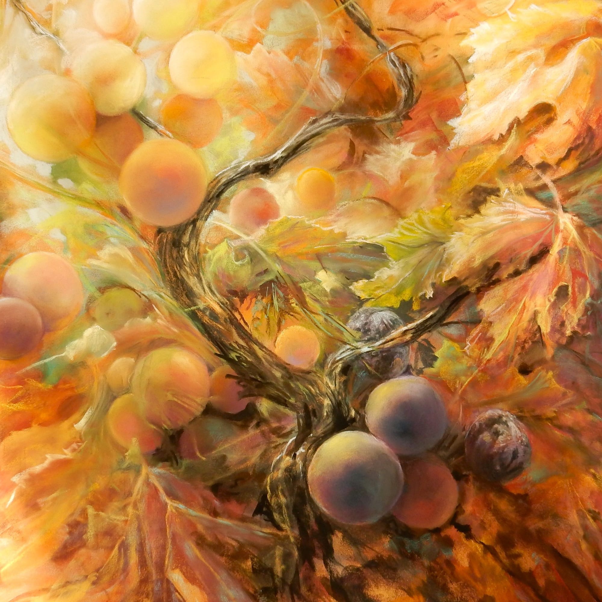 DANS LES VIGNES