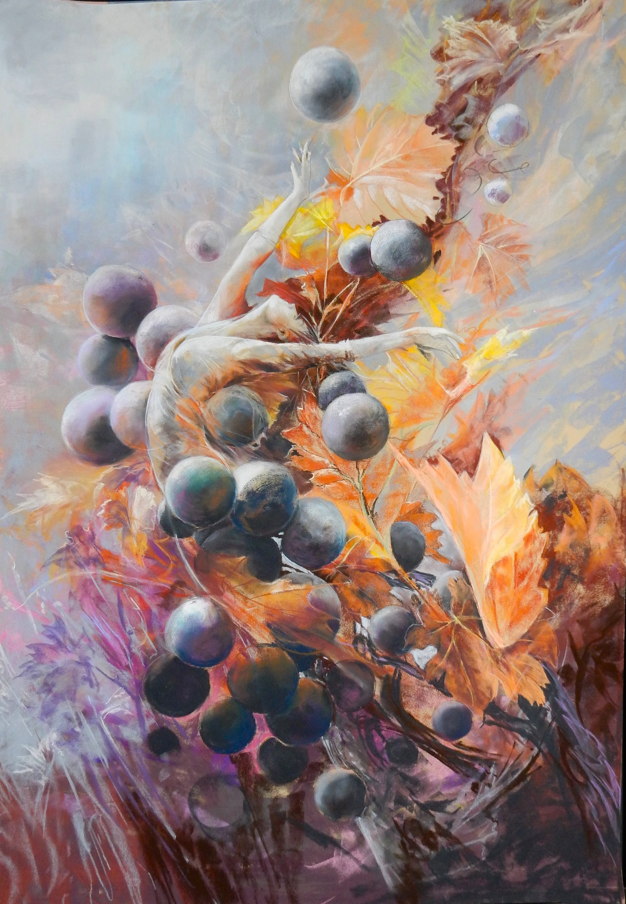 VENDANGES