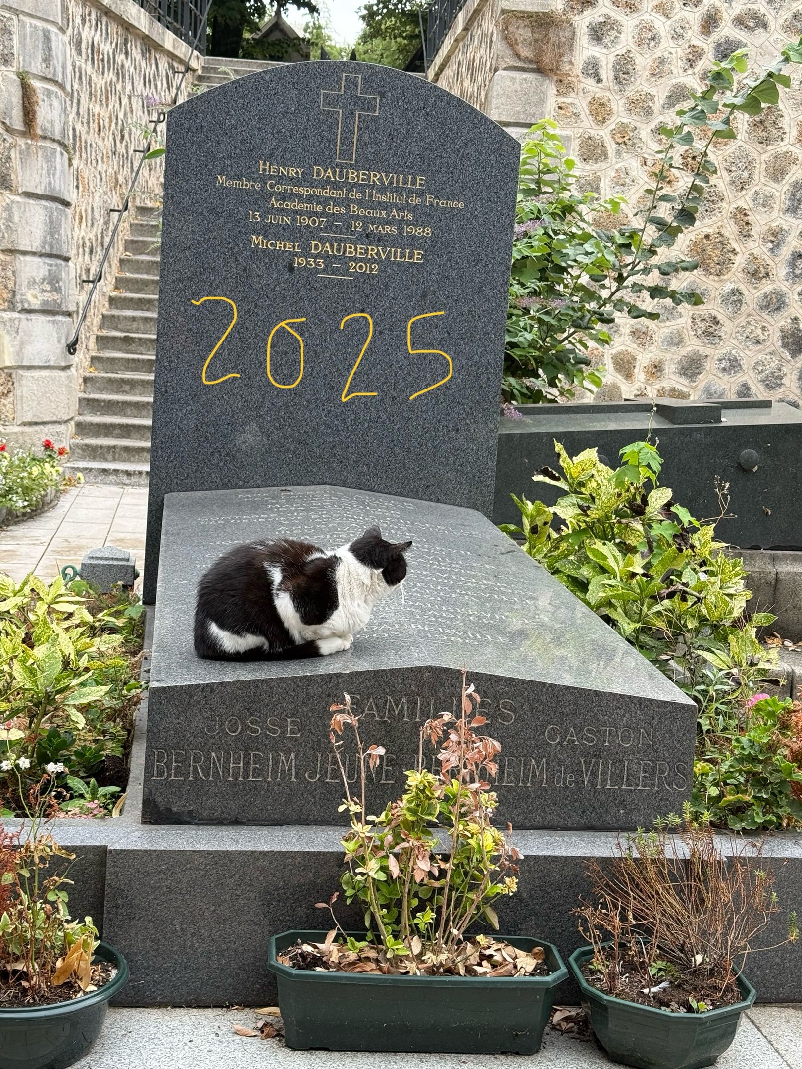 Chat va bien