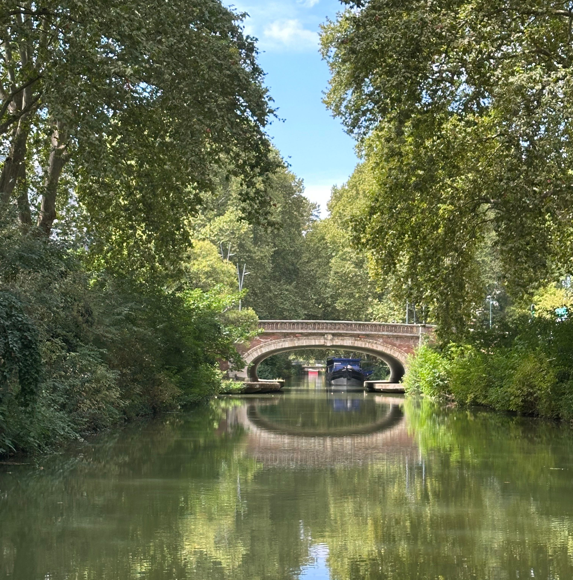 Toulouse : entre crottes, transports et météo… une journée pleine de surprises