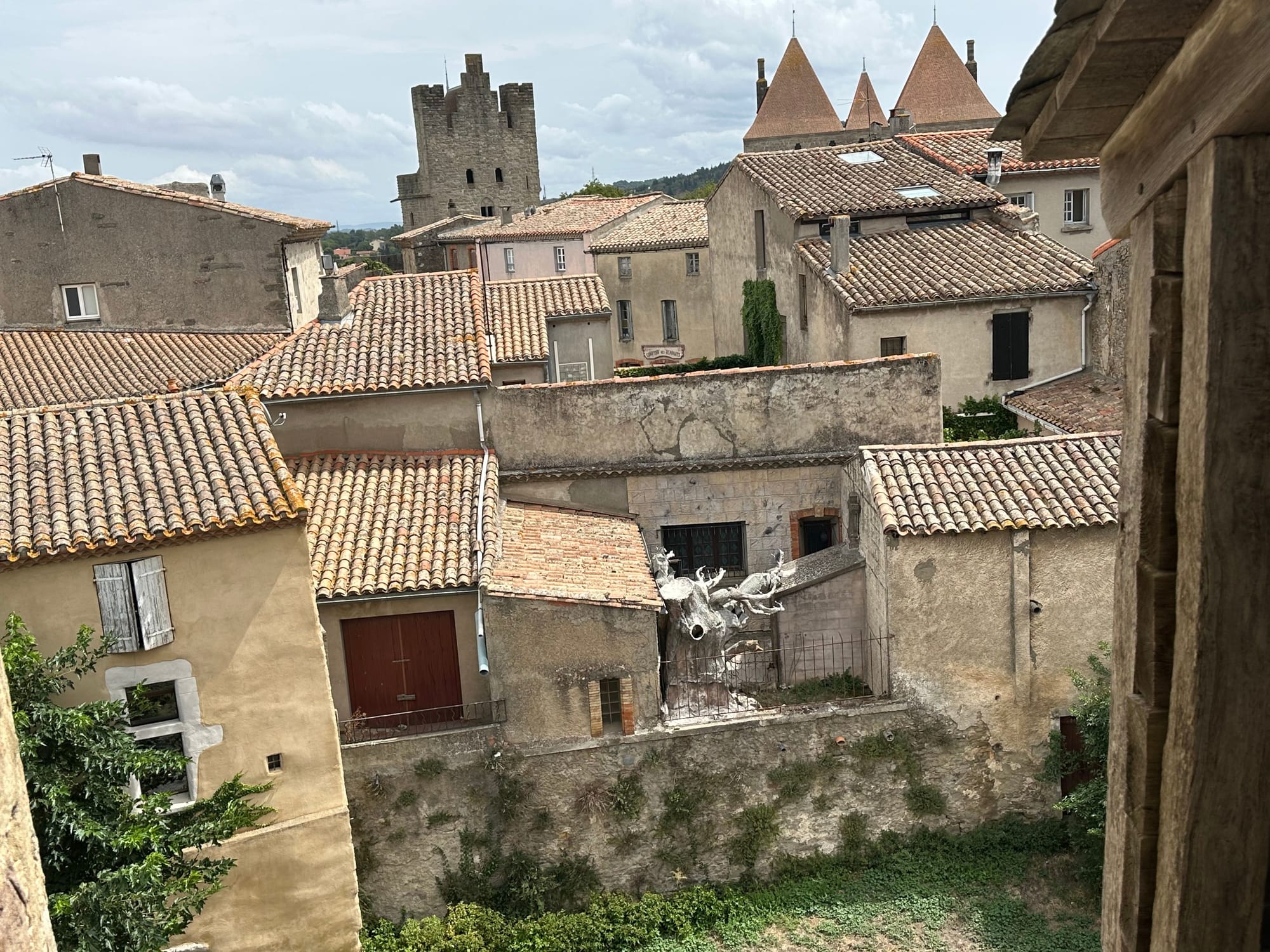 Carcassonne VS Albi : le duel des kilomètres et des mollets