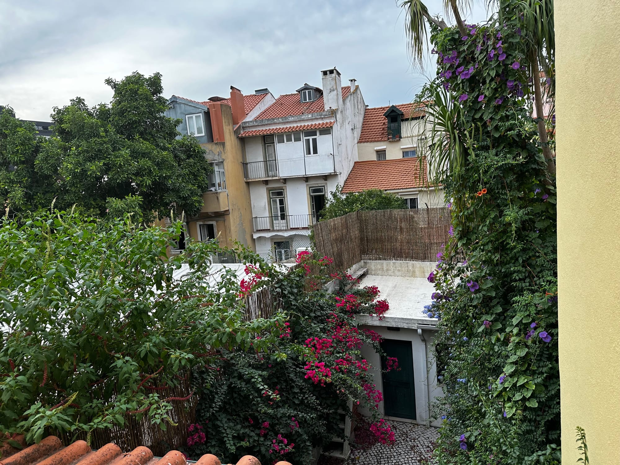 Lisbonne : une douche froide et quelques imprévus