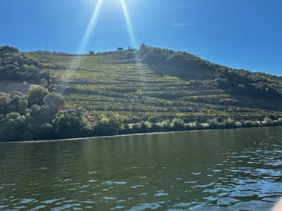 Le Douro, le porto et les mariés au premier regard