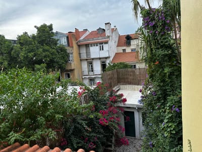 Lisbonne : une douche froide et quelques imprévus