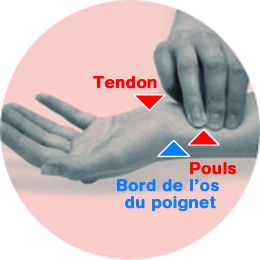 Infos prise de pouls - Suite séance de gym endurance