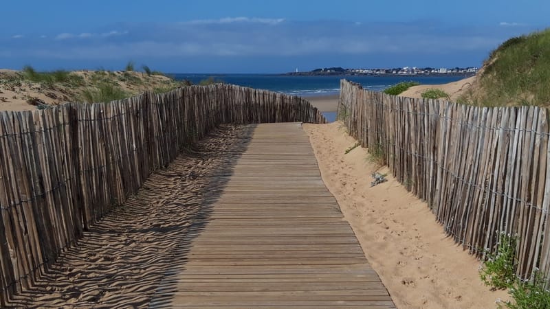 Reprise des cours post canicule vendredi 26 juin