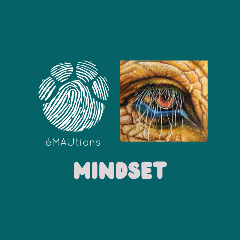 MINDSET, ... c'est quoi ?