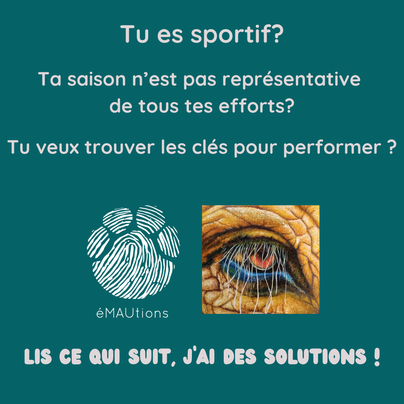Tes clés pour performer et vivre une saison différente !