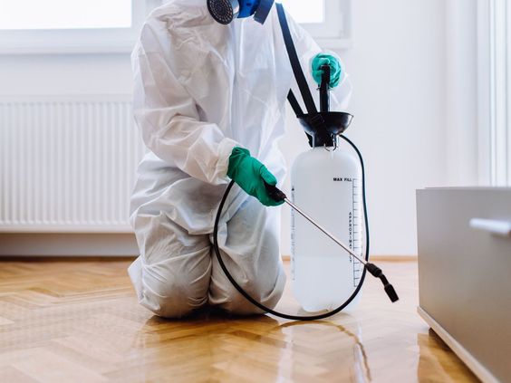 مكافحة البق وحشرات الفراش