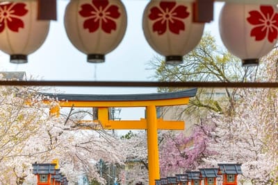 Besøkstallene fortsetter å vokse: Norske turister elsker Japan