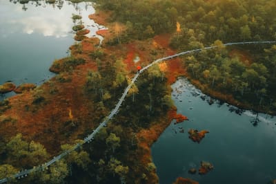 Utendørsopplevelser og naturskjønne turer rundt Tallinn
