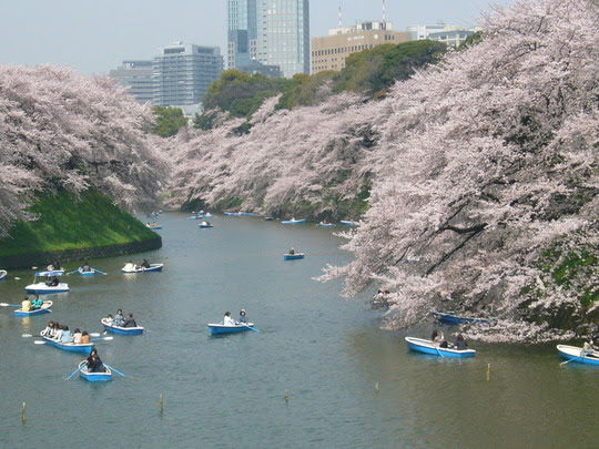 Vollgraven Chidorigafuchi i Tokyo, Japan