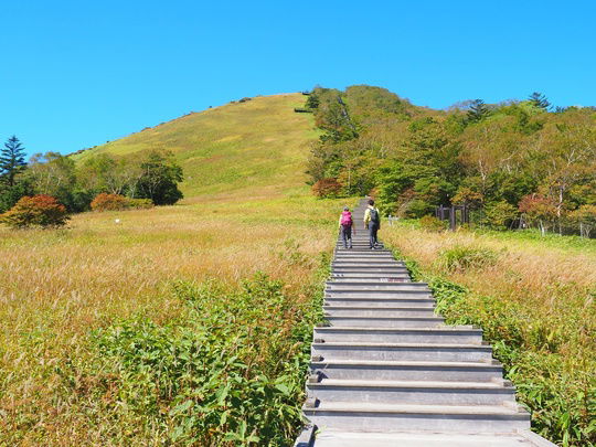 En skogsbaderute kalt Ichimanpo-no-Mori Forest Bathing Trail