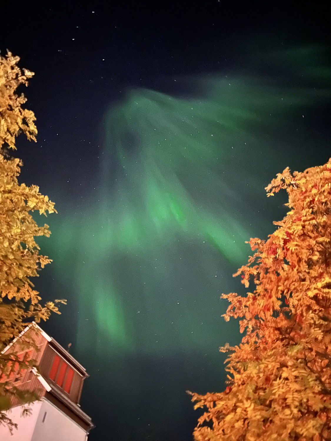 Nordlys i Nord-Norge