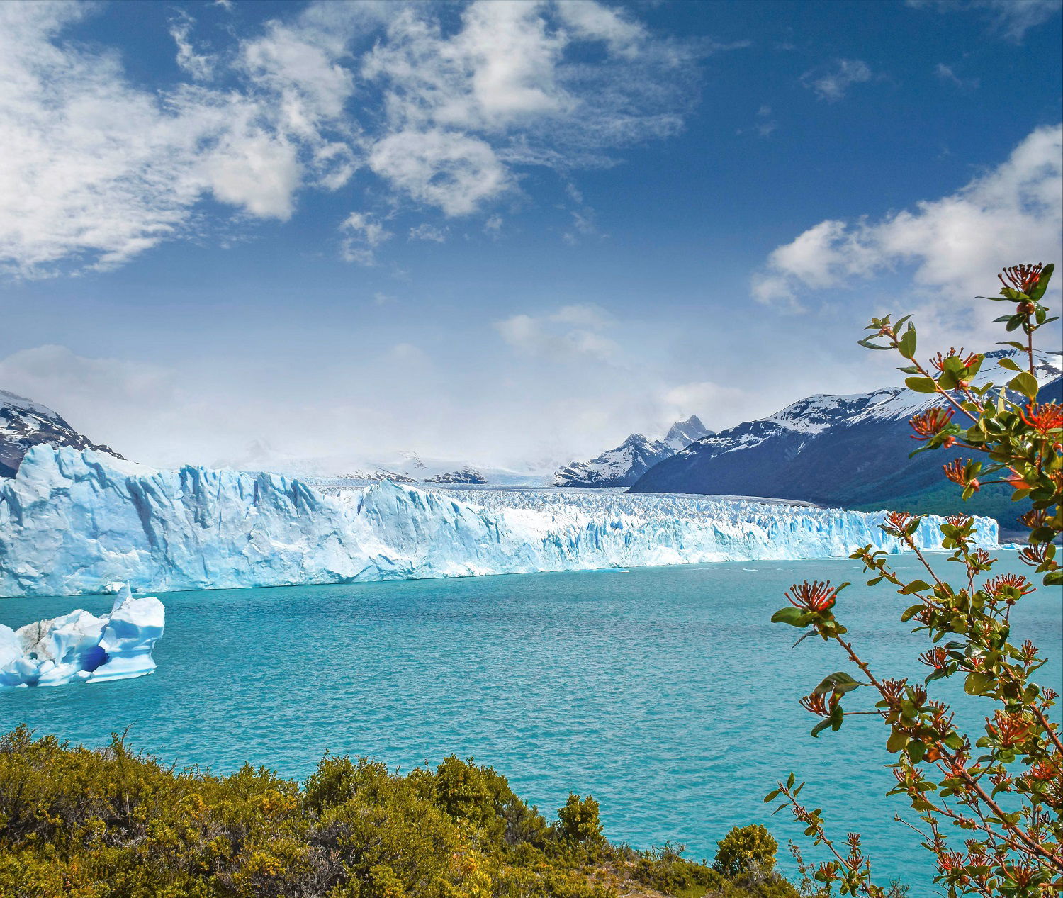 Isbreer i Ushuaia i Argentina