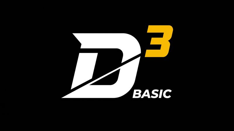 ⚫ D3 BASIC
