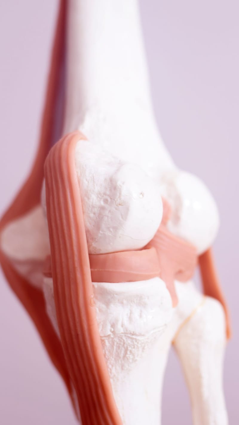 Todo lo que tienes que saber sobre meniscos