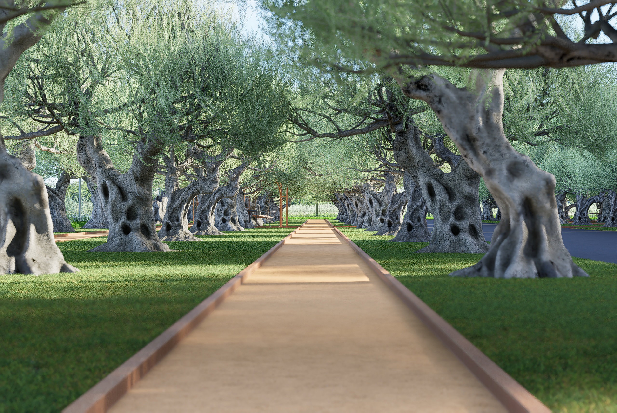 Balade dans l'univers de Médiplantas