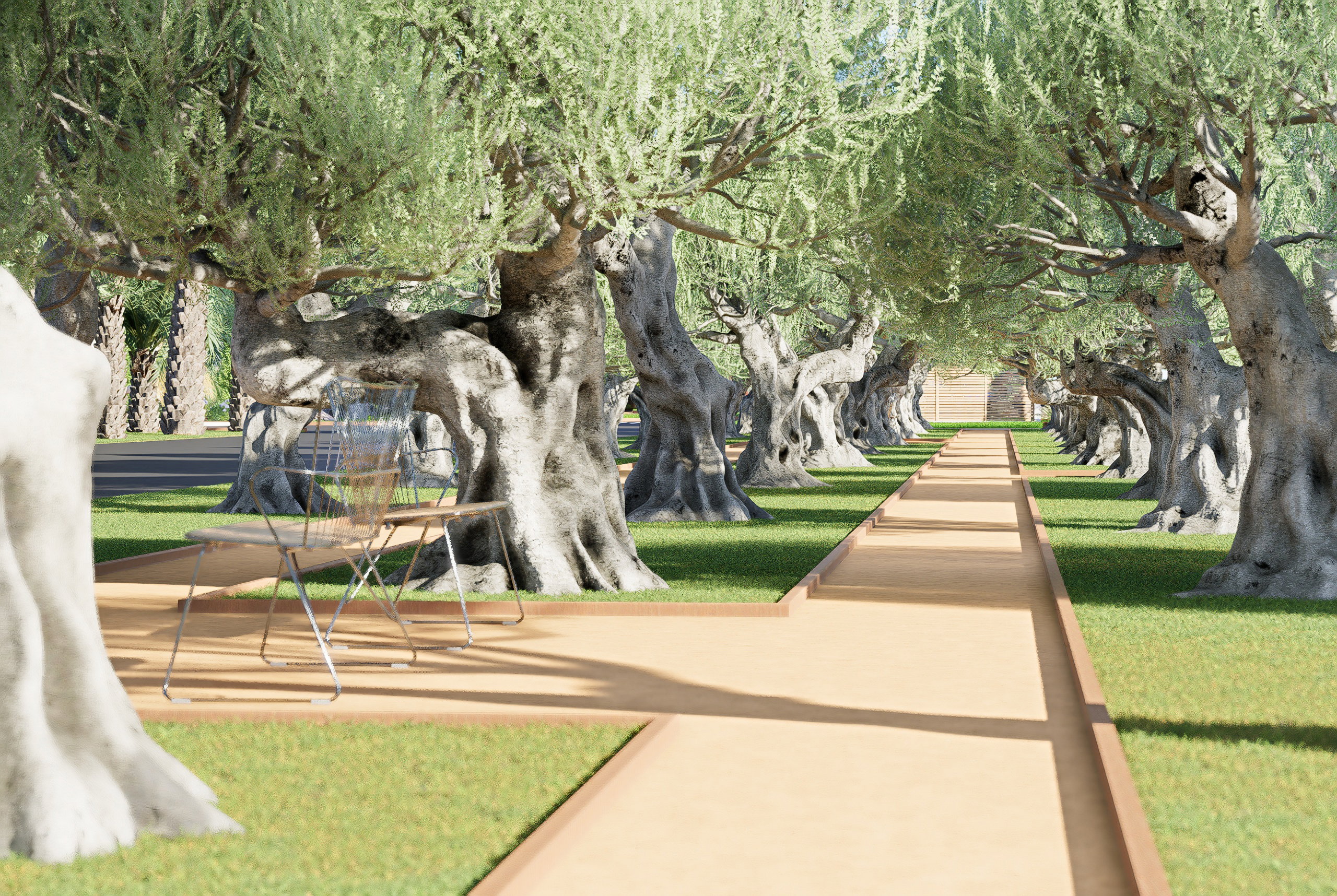 Balade dans l'univers de Médiplantas