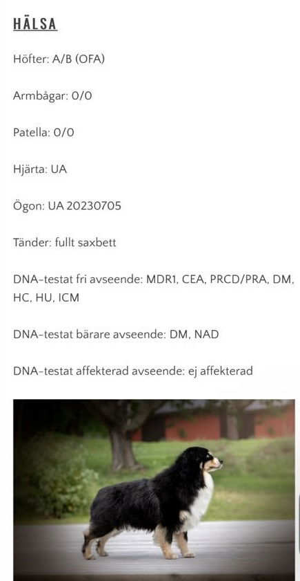 Fendi valpar hösten 2024