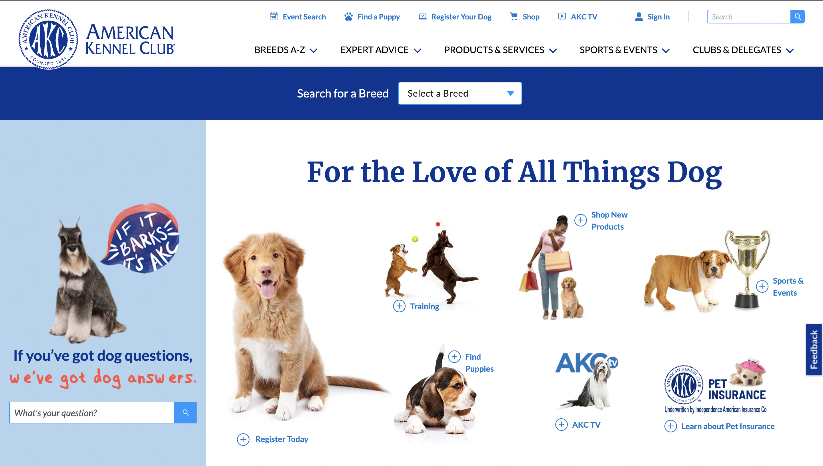 American kennel club near me best sale